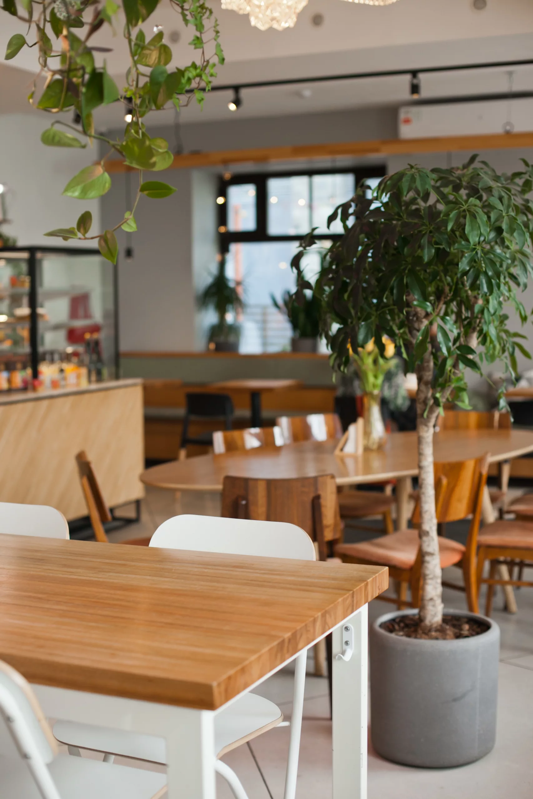 Café