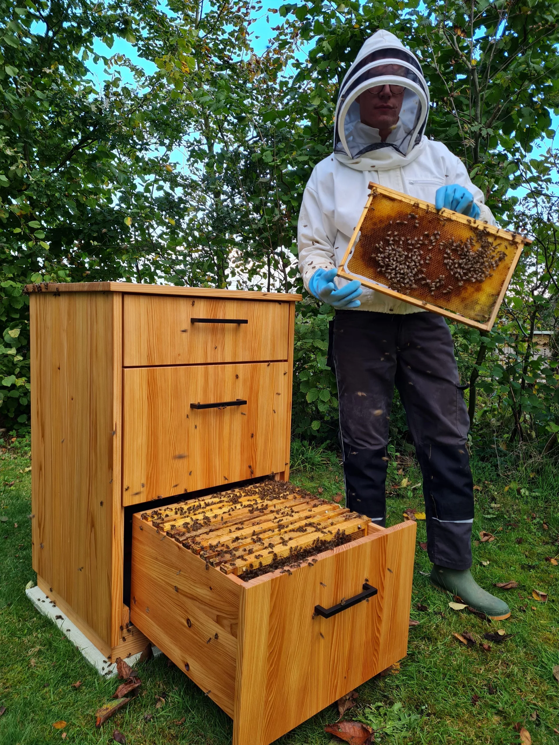 Bienenbeute